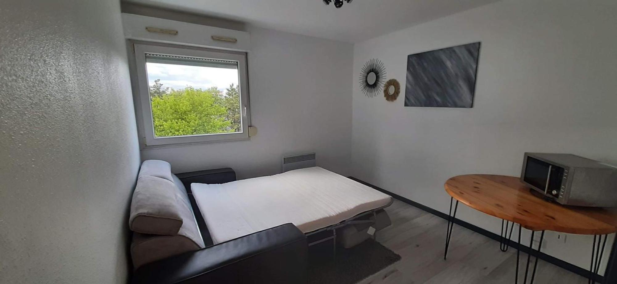 Studio Cosy Lyon Apartment Exterior photo